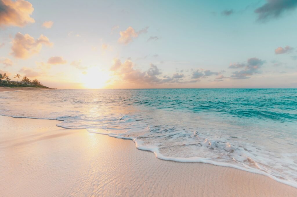A Red Sea Lifestyle Guide for Property Owners